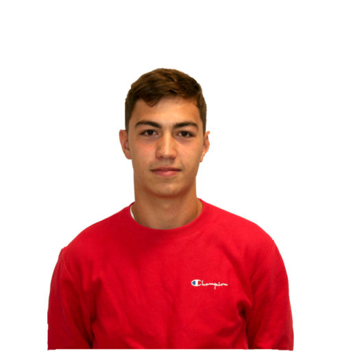 Thybault Florent Janvier